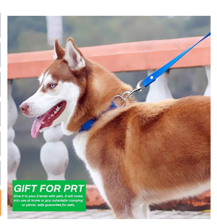  Mosquetones de doble extremo de acero inoxidable para buceo